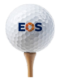 EOS Bridgestone e6 Golf Balls - Dozen